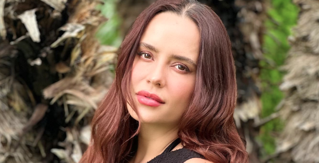 El Protocolo de Ana Lucía Domínguez